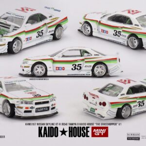 NISSAN SKYLINE GT-R (R34) X TAMIYA "THE GRASSHOPPER" V1 KAIDO 1999